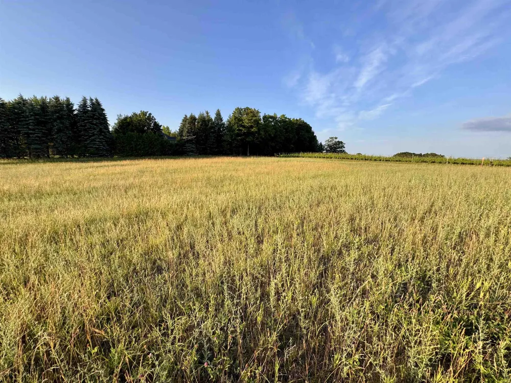 1 Cavalieri Court Peninsula Township, MI 49686