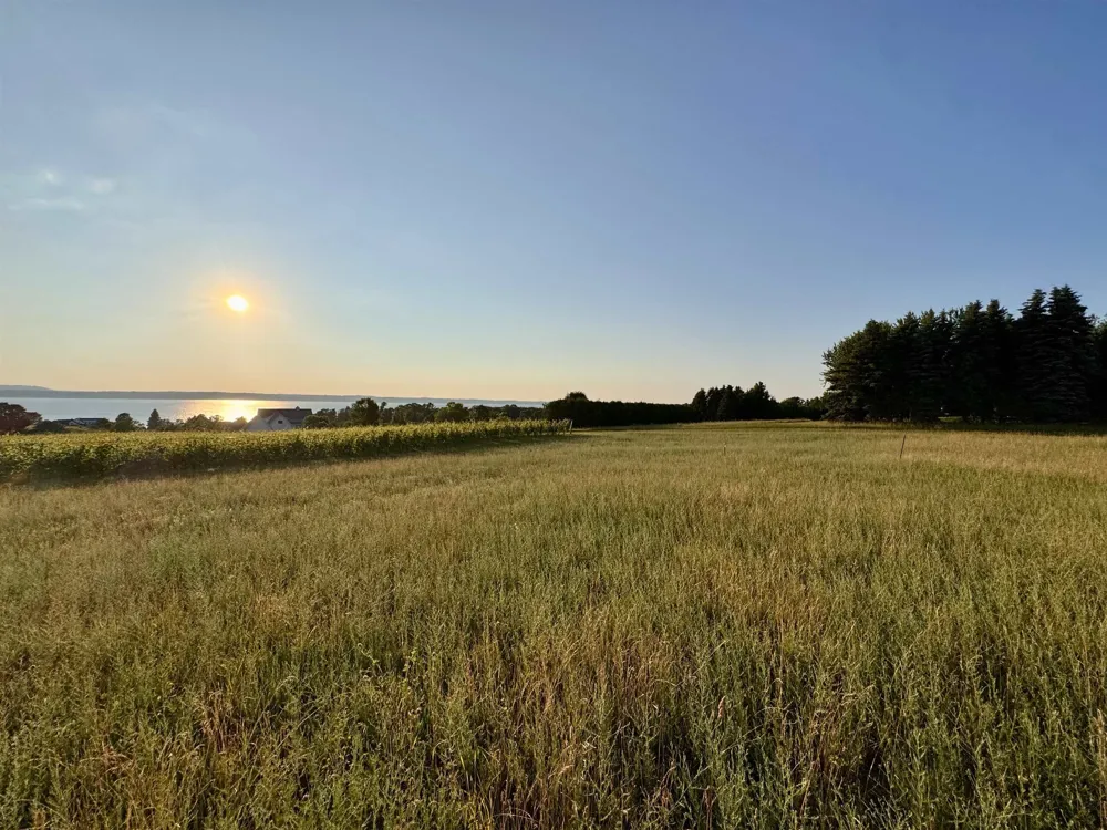 1 Cavalieri Court Peninsula Township, MI 49686