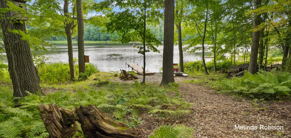 11020 Crawford Lake Trail Oakfield Township, MI 49319