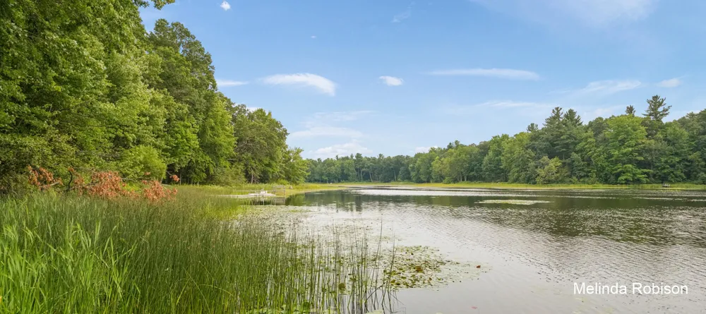 11020 Crawford Lake Trail Oakfield Township, MI 49319