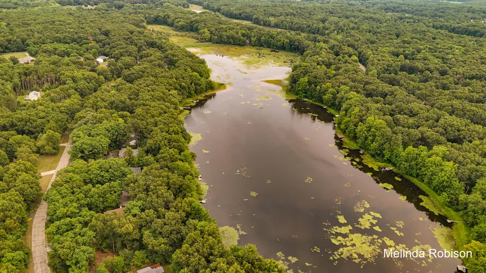 11020 Crawford Lake Trail Oakfield Township, MI 49319