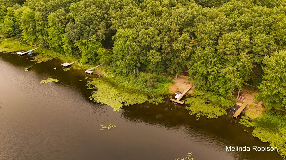 11020 Crawford Lake Trail Oakfield Township, MI 49319