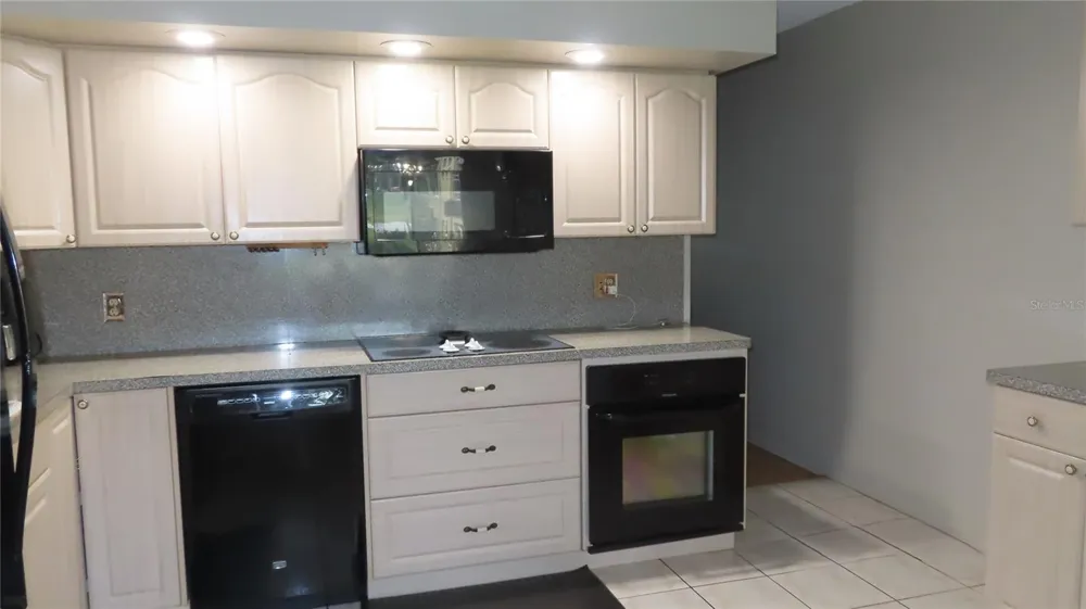 2402 ECUADORIAN WAY #34 Clearwater, FL 33763