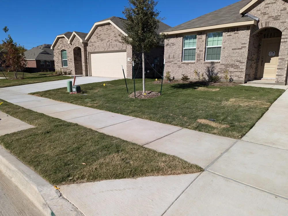 1824 White Ash Way McKinney, TX 75071