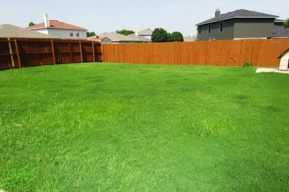 2725 Peach Drive Little Elm, TX 75068