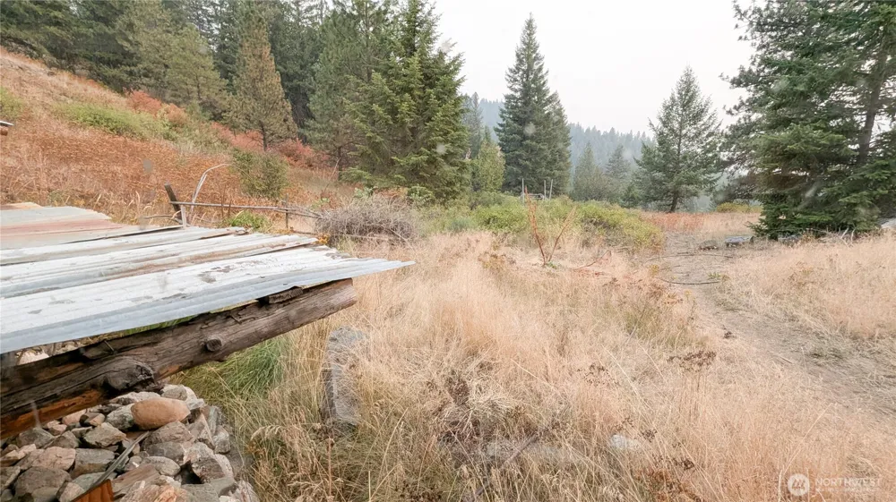 38 Excelsior Way Curlew, WA 99166
