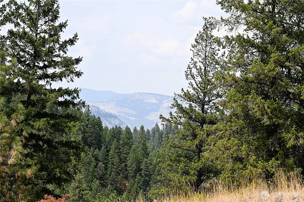 38 Excelsior Way Curlew, WA 99166