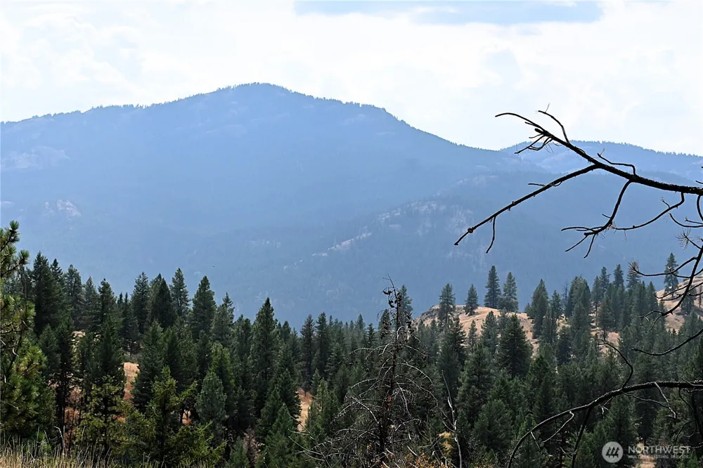38 Excelsior Way Curlew, WA 99166