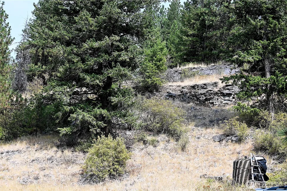 38 Excelsior Way Curlew, WA 99166