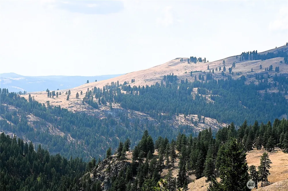 38 Excelsior Way Curlew, WA 99166