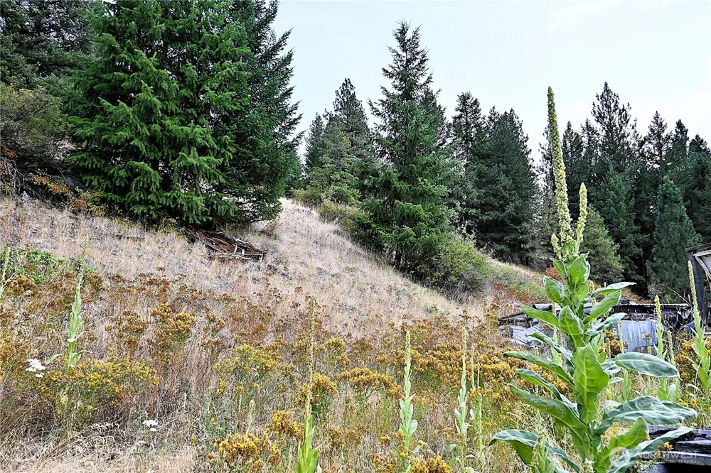38 Excelsior Way Curlew, WA 99166