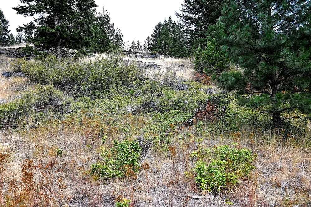 38 Excelsior Way Curlew, WA 99166