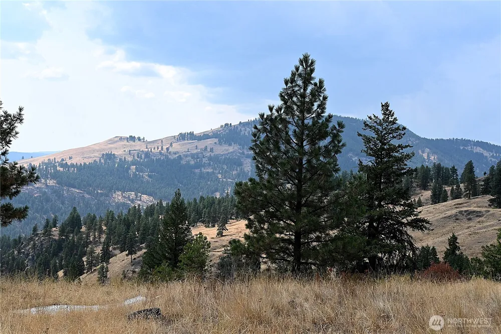 38 Excelsior Way Curlew, WA 99166