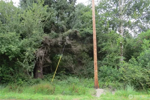 166 Port Loop