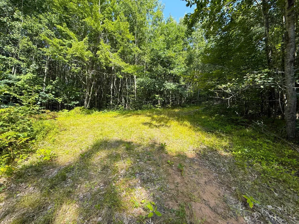 W9XXX Webb Lake Drive Trego, WI 54888