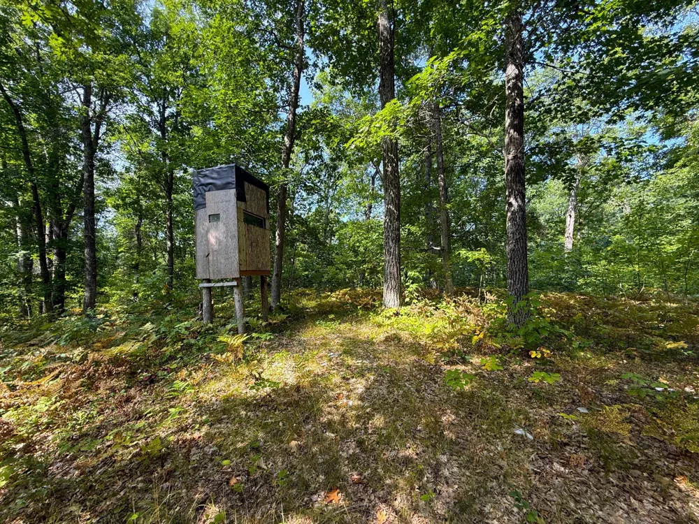 W9XXX Webb Lake Drive Trego, WI 54888
