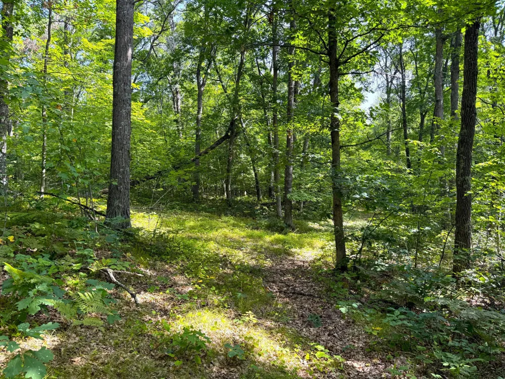 W9XXX Webb Lake Drive Trego, WI 54888