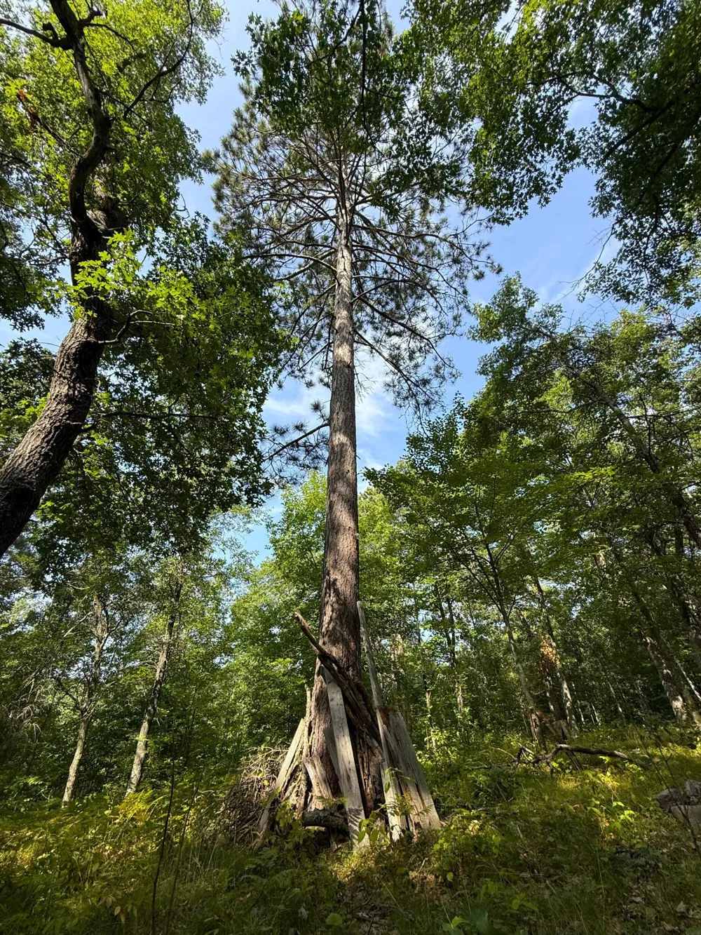 W9XXX Webb Lake Drive Trego, WI 54888