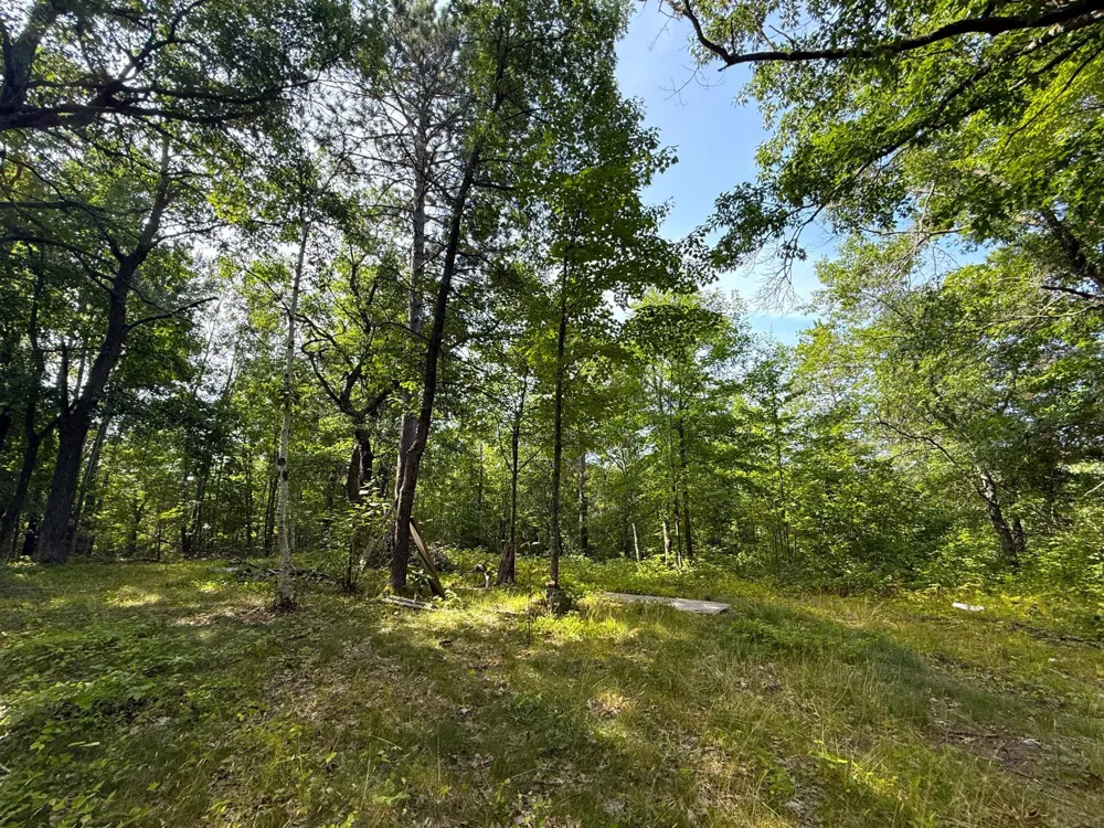 W9XXX Webb Lake Drive Trego, WI 54888