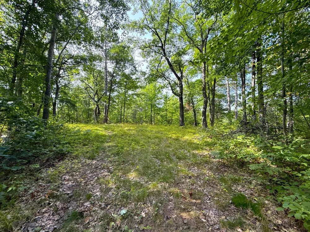 W9XXX Webb Lake Drive Trego, WI 54888
