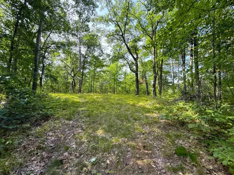W9XXX Webb Lake Drive