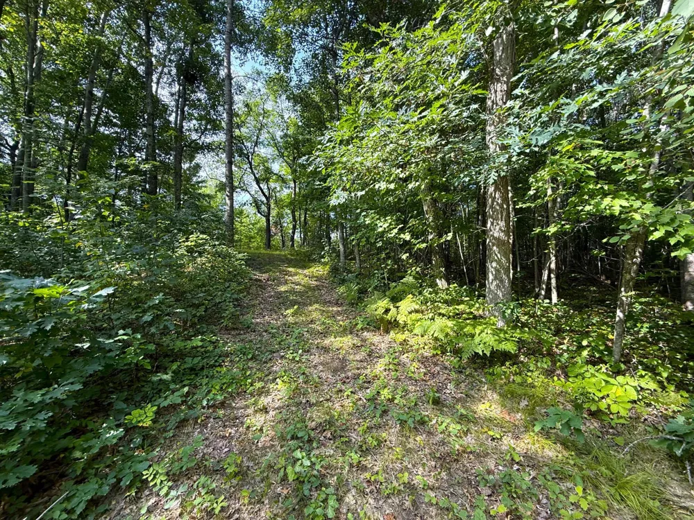 W9XXX Webb Lake Drive Trego, WI 54888