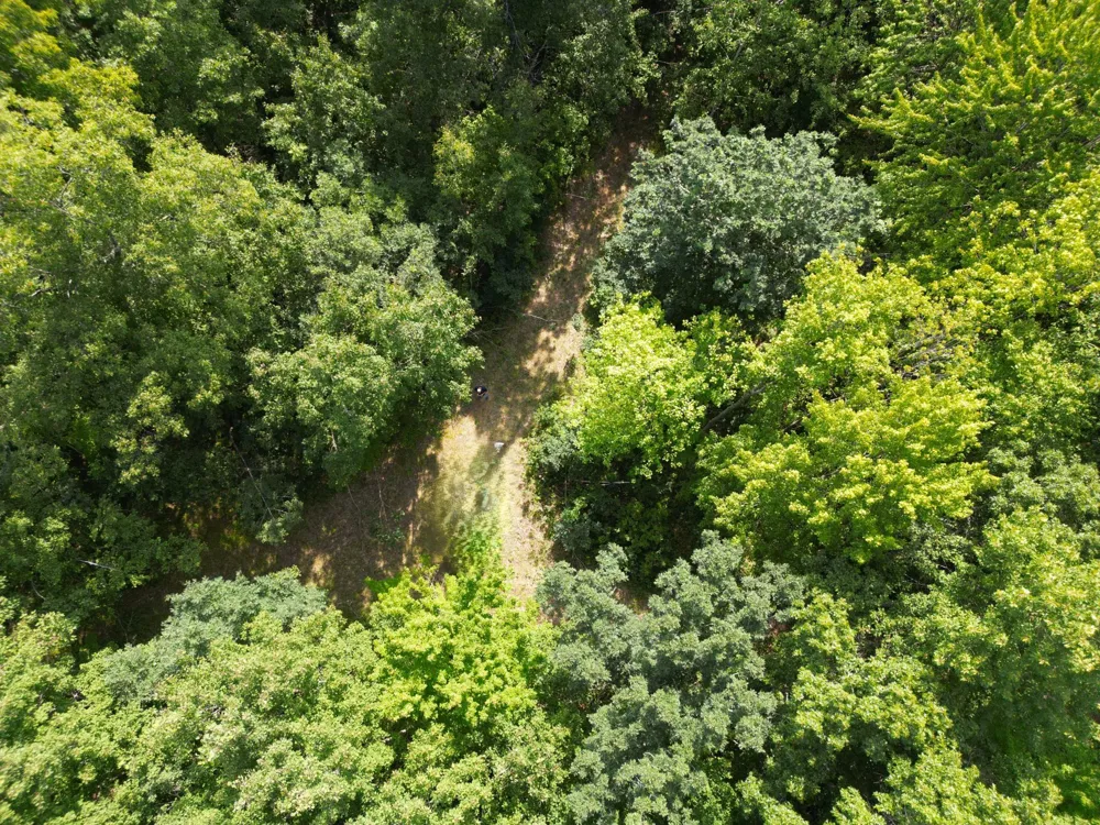 W9XXX Webb Lake Drive Trego, WI 54888