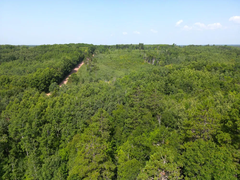 W9XXX Webb Lake Drive Trego, WI 54888