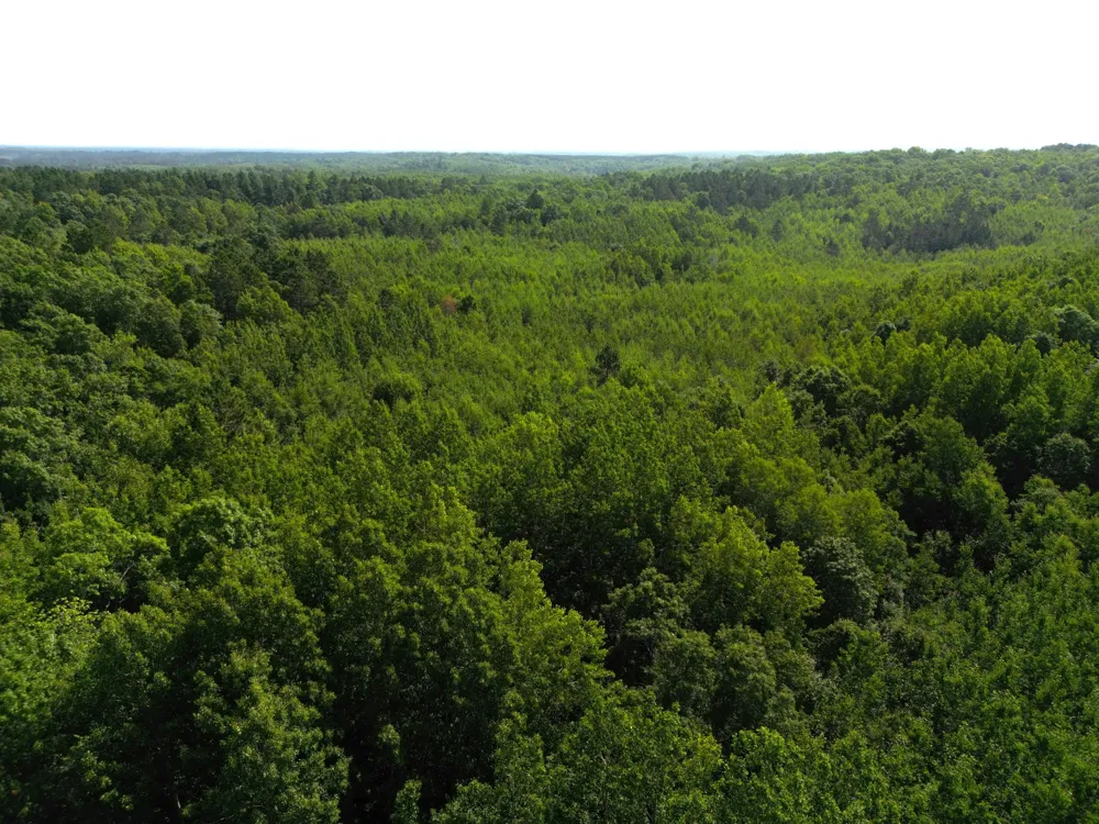 W9XXX Webb Lake Drive Trego, WI 54888