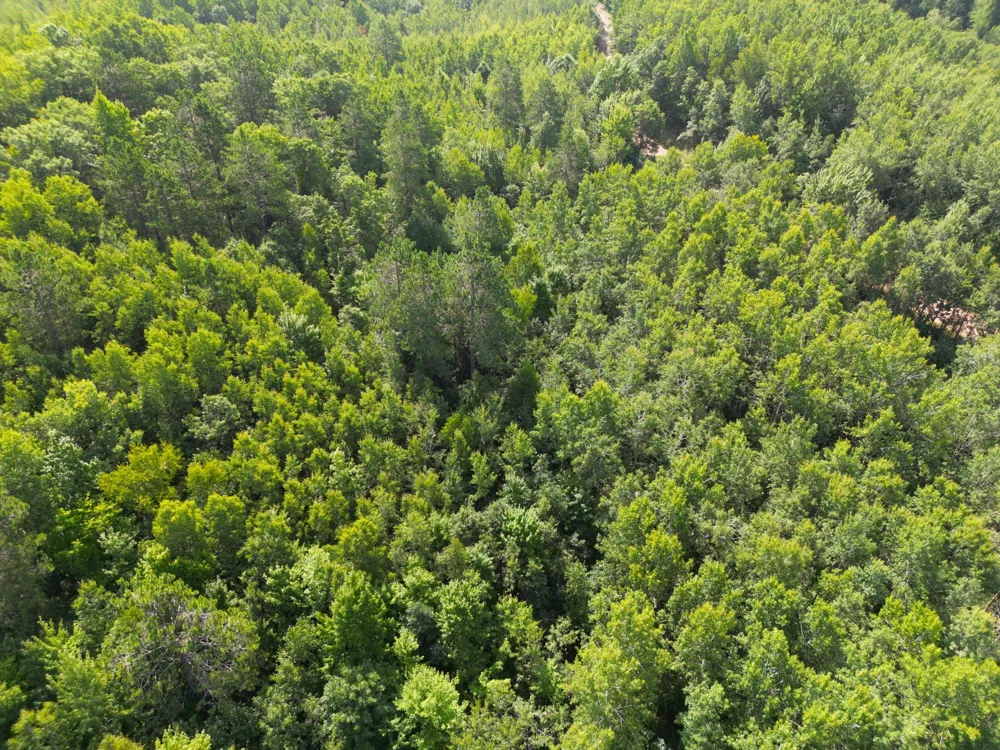 W9XXX Webb Lake Drive Trego, WI 54888