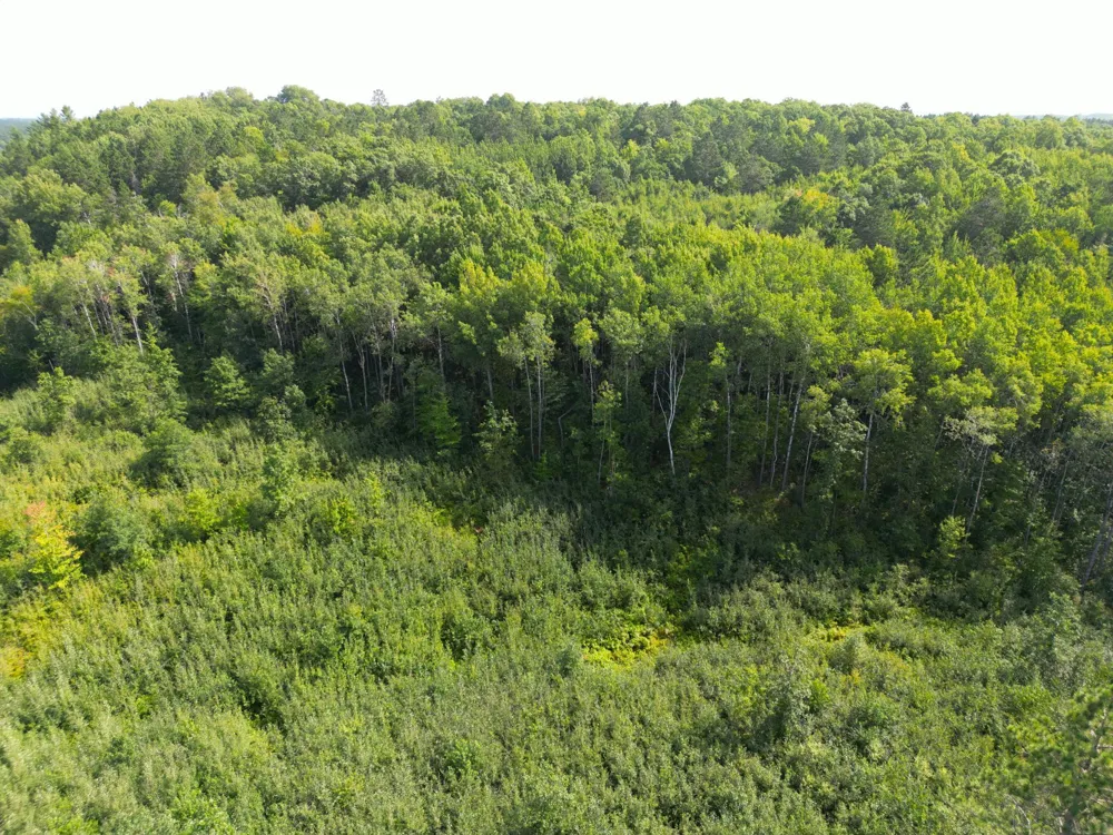 W9XXX Webb Lake Drive Trego, WI 54888