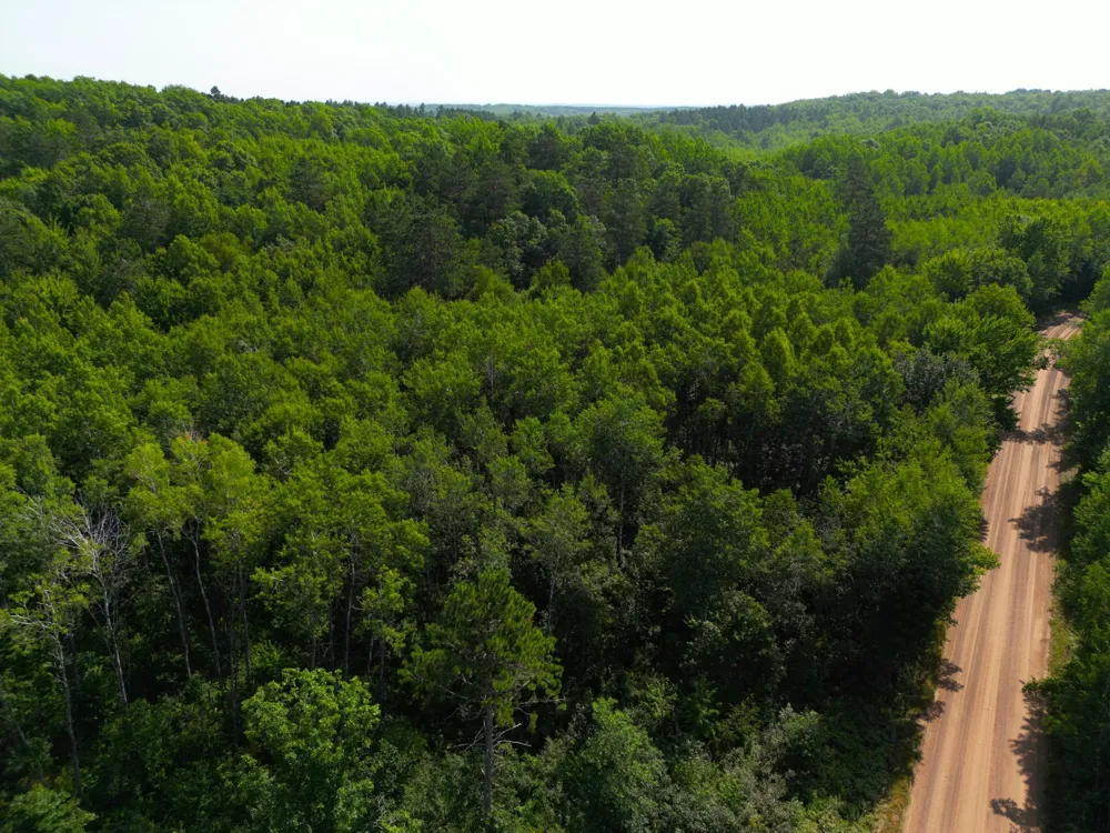 W9XXX Webb Lake Drive Trego, WI 54888