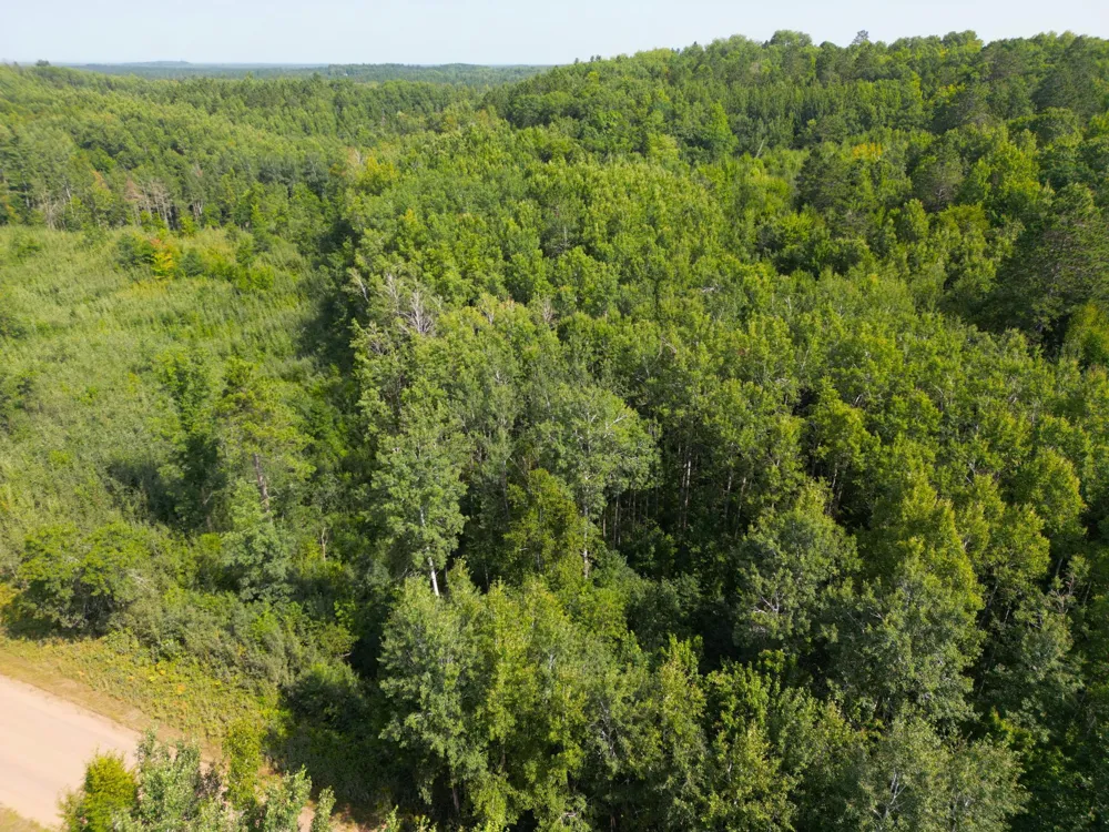 W9XXX Webb Lake Drive Trego, WI 54888