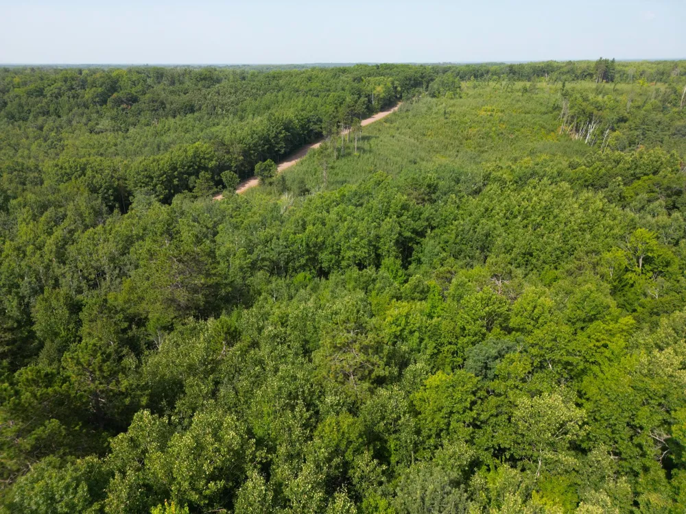 W9XXX Webb Lake Drive Trego, WI 54888