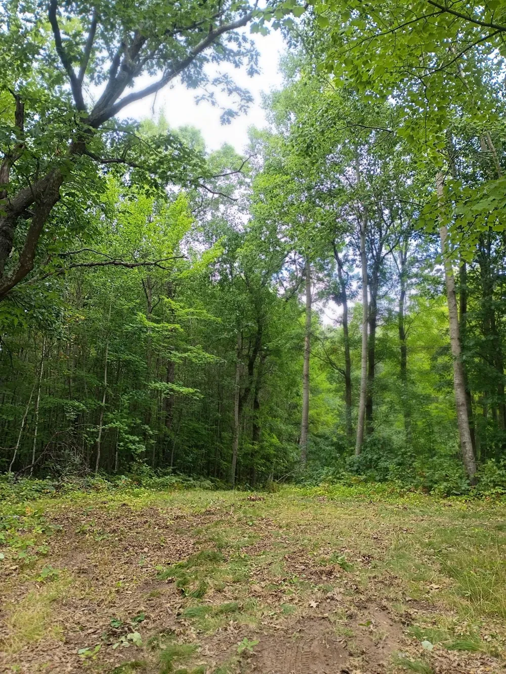W9XXX Webb Lake Drive Trego, WI 54888