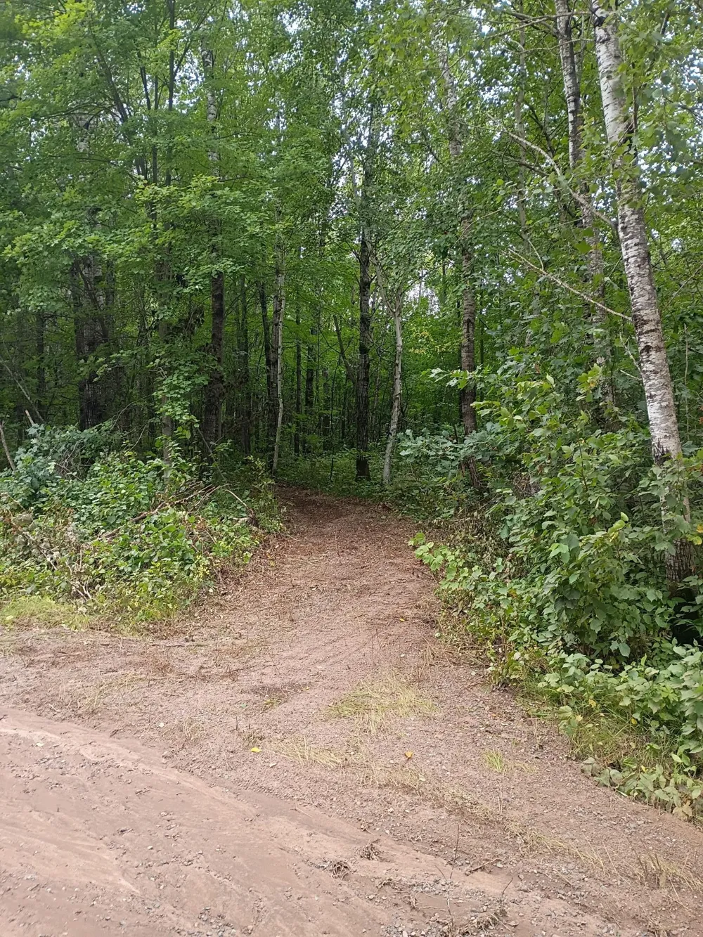 W9XXX Webb Lake Drive Trego, WI 54888