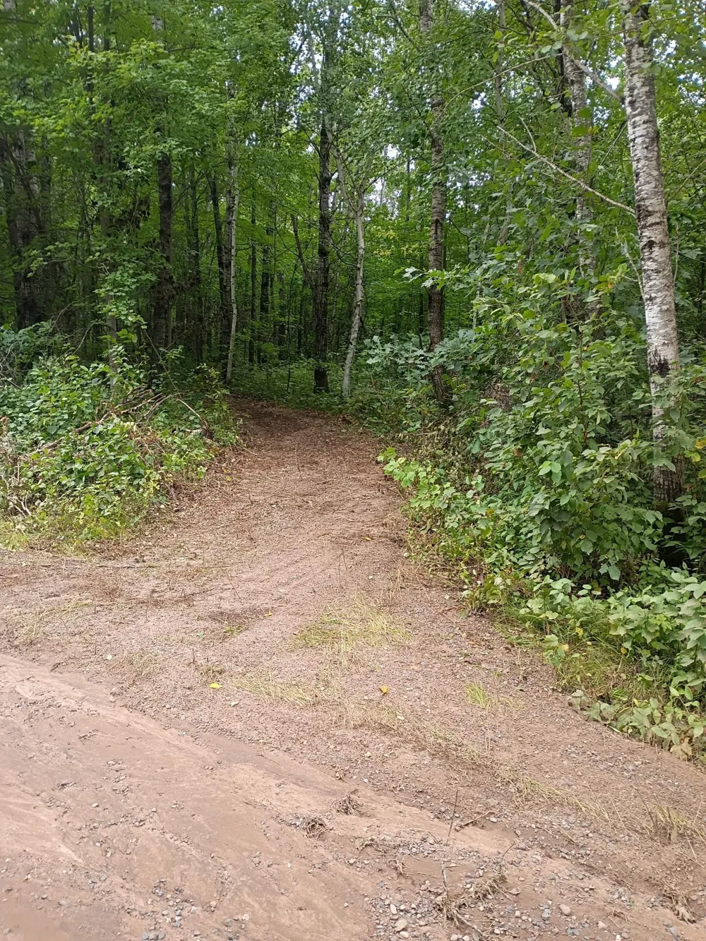 W9XXX Webb Lake Drive Trego, WI 54888