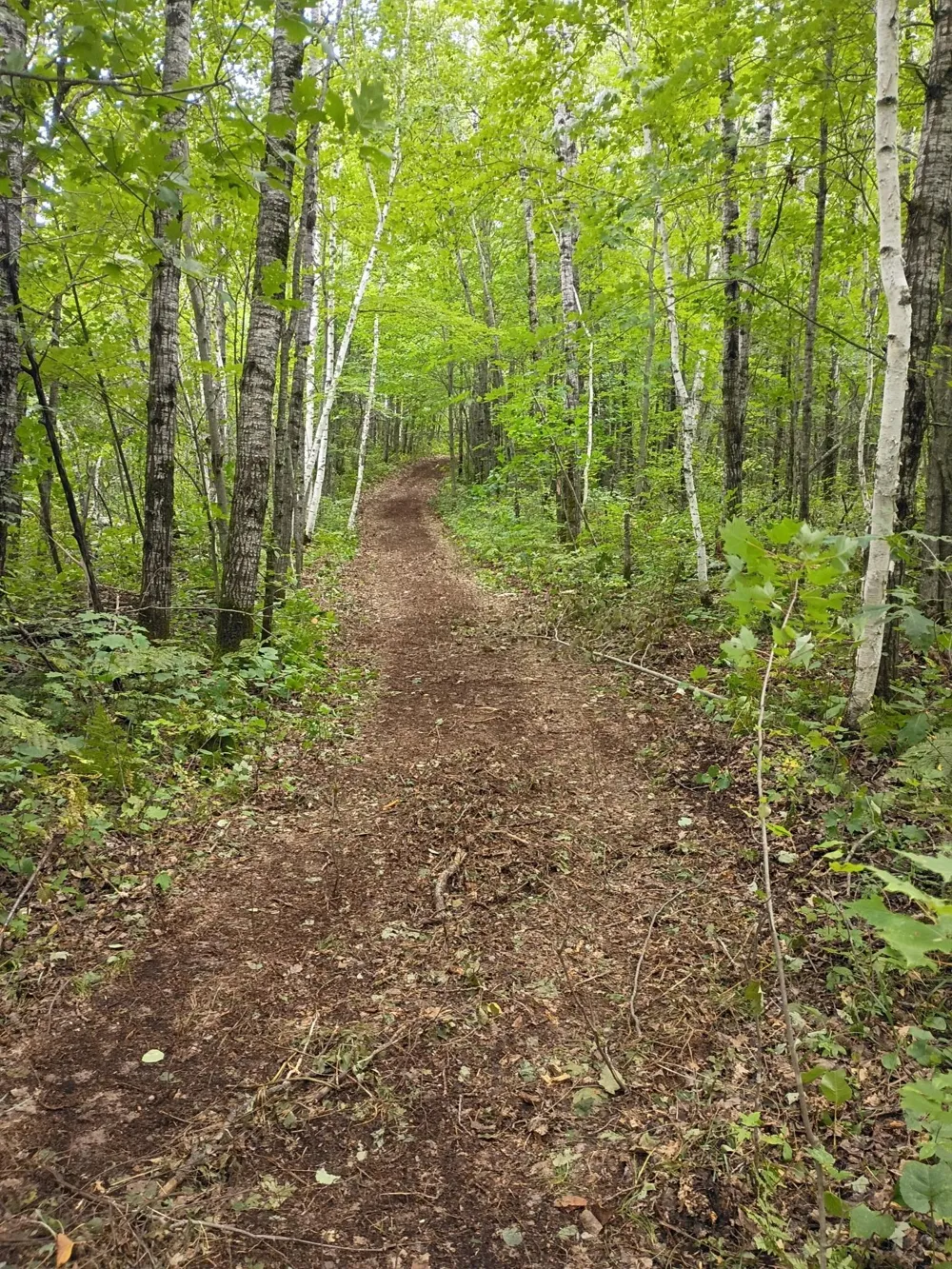 W9XXX Webb Lake Drive Trego, WI 54888