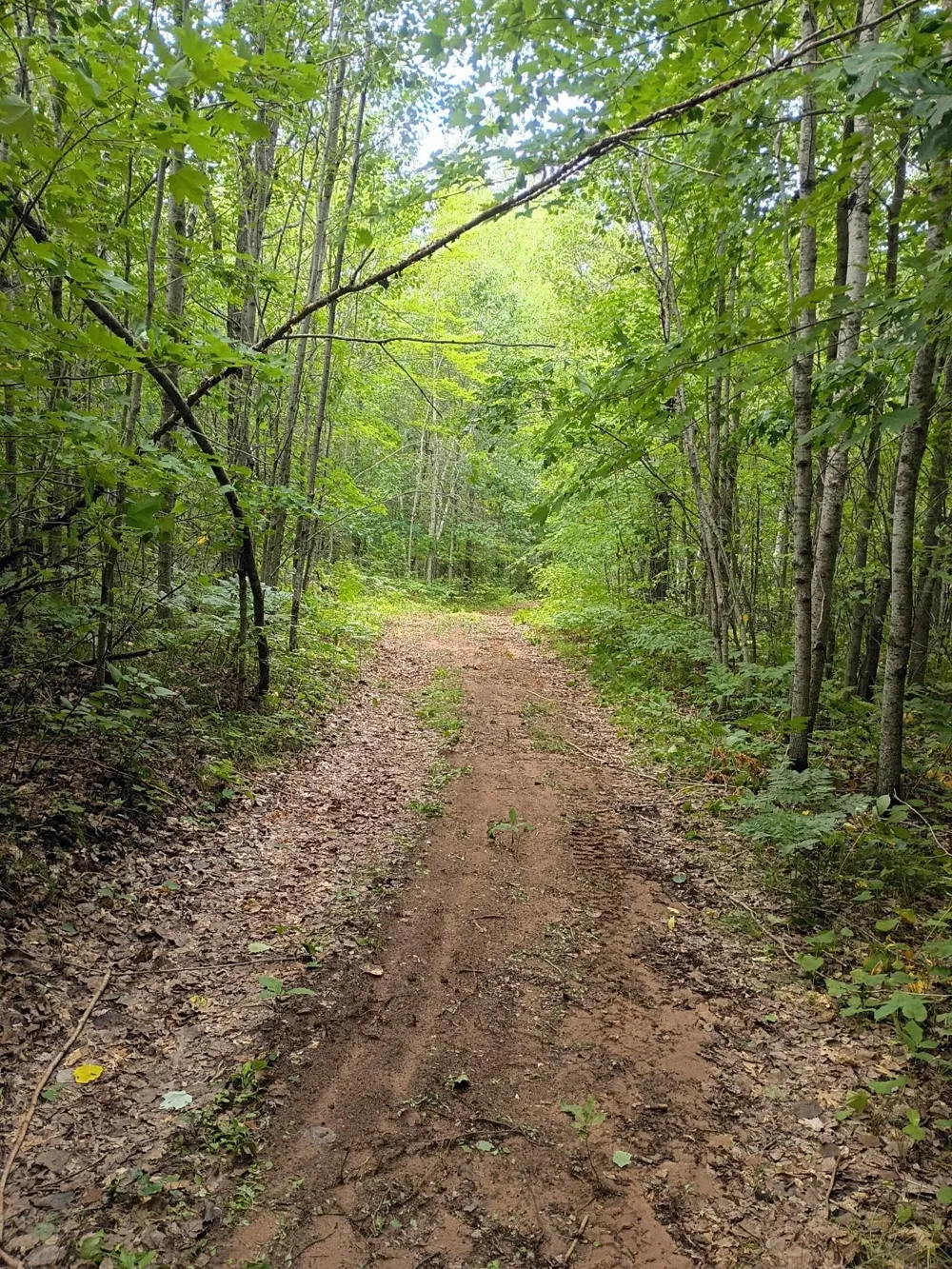W9XXX Webb Lake Drive Trego, WI 54888
