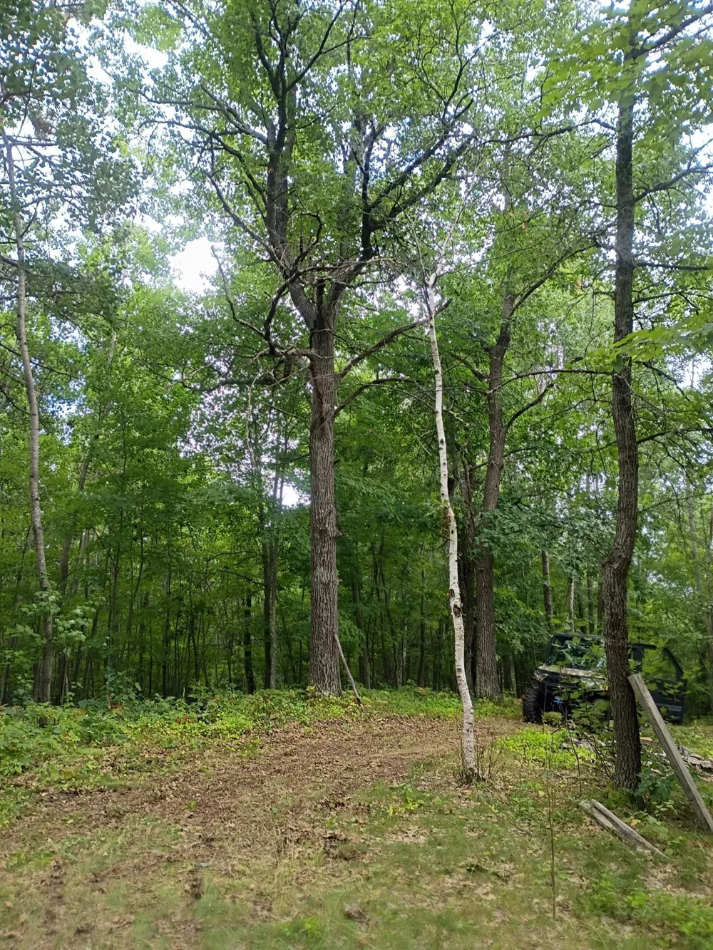 W9XXX Webb Lake Drive Trego, WI 54888