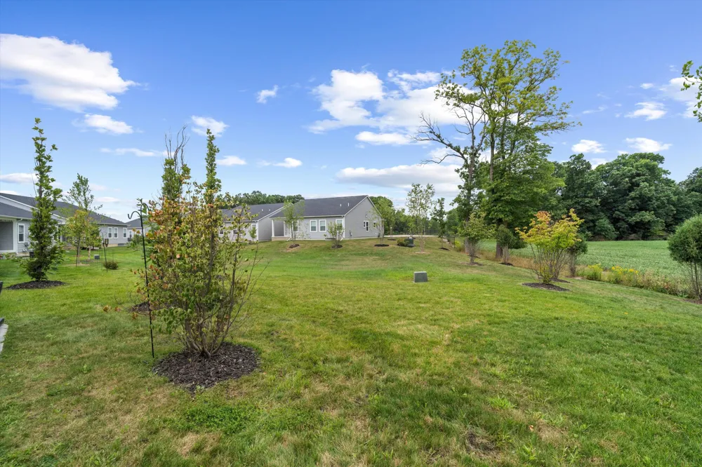 1406 Magellan Drive Chelsea, MI 48118