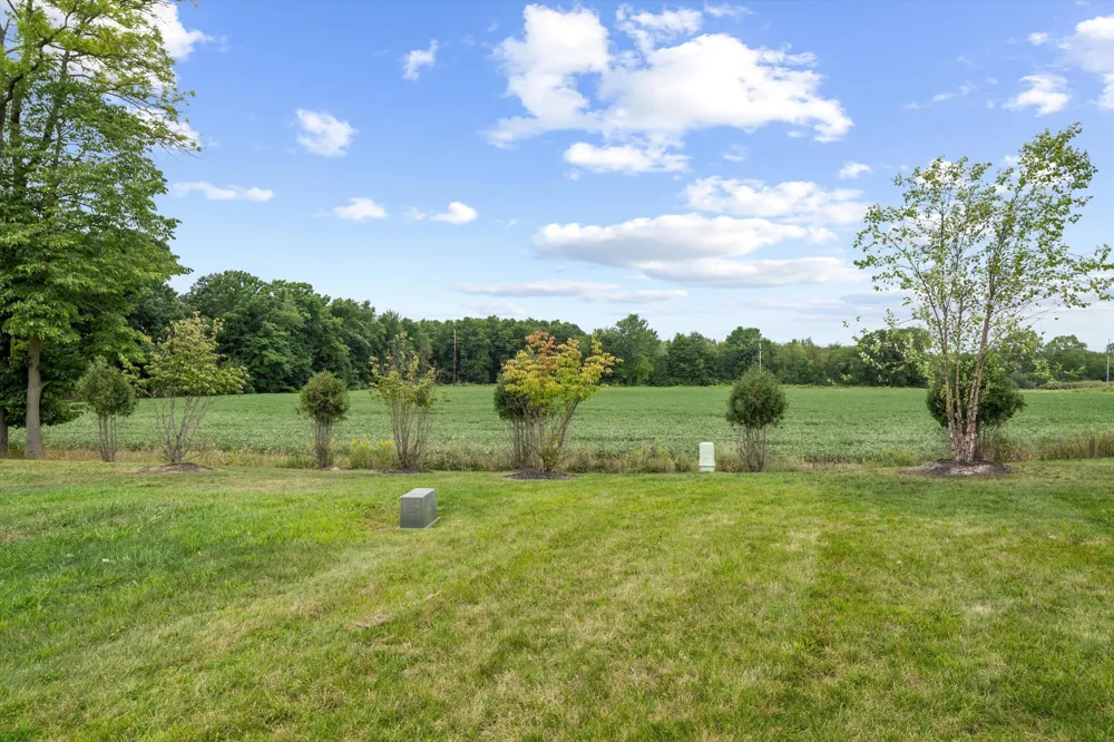 1406 Magellan Drive Chelsea, MI 48118
