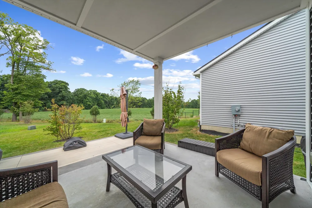 1406 Magellan Drive Chelsea, MI 48118