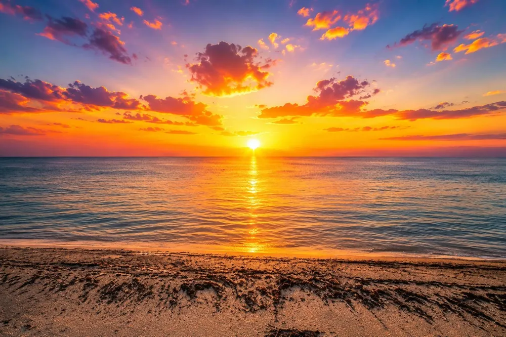 840 Ocean Drive #1001 Juno Beach, FL 33408