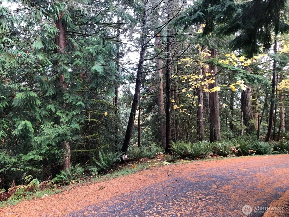 15 Wintercress Way Bellingham, WA 98229