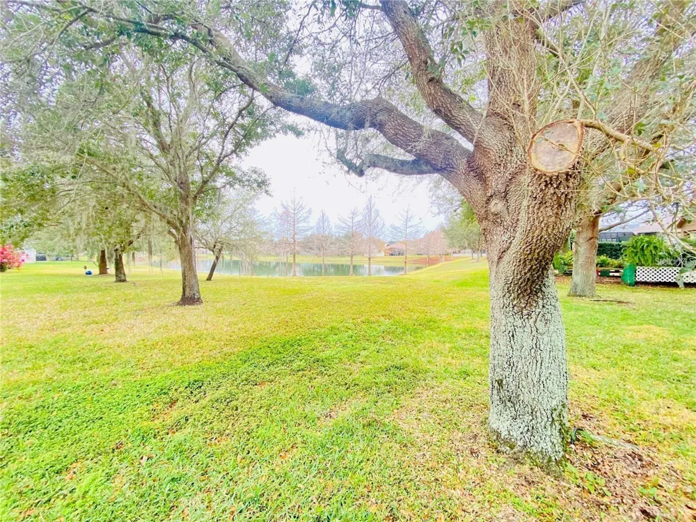 13920 BLUEBIRD POND ROAD Windermere, FL 34786