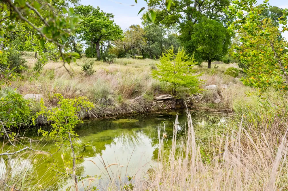 401 Clear Creek Lane Fredericksburg, TX 78624