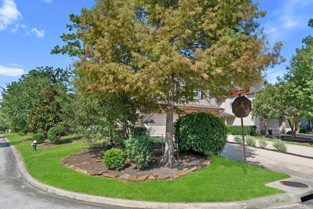 46 Whitekirk Place Magnolia, TX 77354