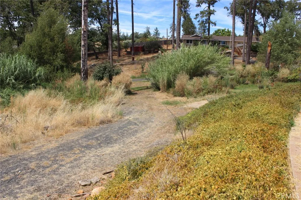 1289 Pearson Paradise, CA 95969