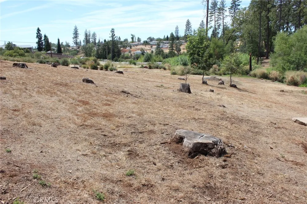 1289 Pearson Paradise, CA 95969